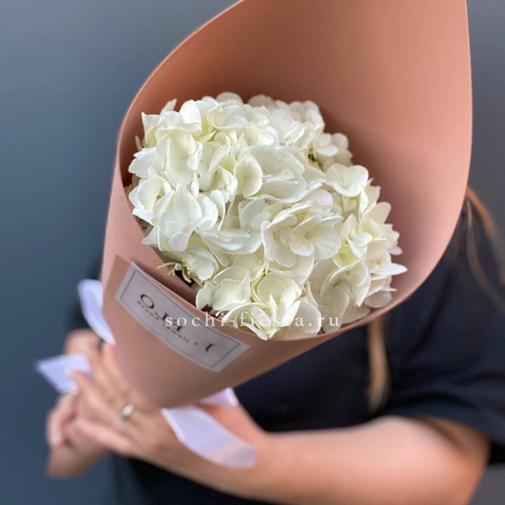 Гортензия в конверте в Южно-Сахалинске