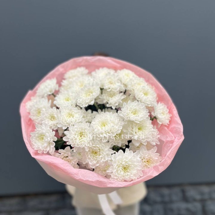  5 хризантем  с доставкой в Южно-Сахалинске