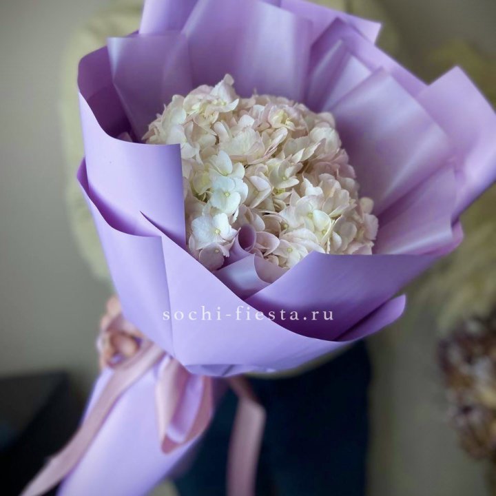 Гортензия розовая в Южно-Сахалинске