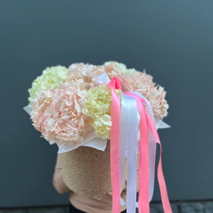 7 гортензий в кашпо в Южно-Сахалинске