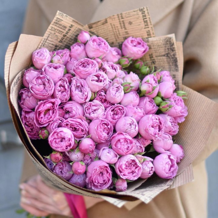 Роза Мисти Баблс в Южно-Сахалинске