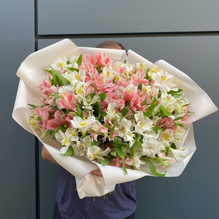 39 альстромерий в Южно-Сахалинске